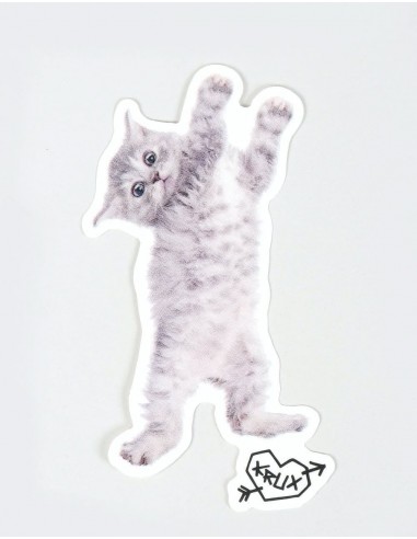 Krux Kitty Hanger Sticker