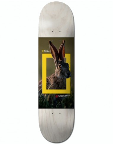 Element x National Geographic Schaar Hare Skateboard Deck - 8"