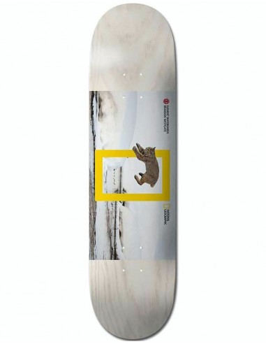 Element x National Geographic Westgate Cat Skateboard Deck - 8.125"