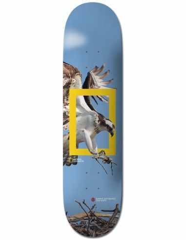 Element x National Geographic Evan Osprey Skateboard Deck - 8.25"