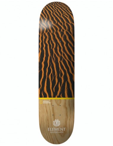 Element x National Geographic Earth Skateboard Deck - 8.5"