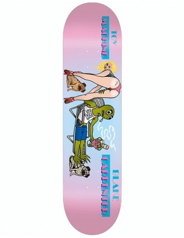 Toy Machine Carpenter Florida Chill Skateboard Deck - 8.25"