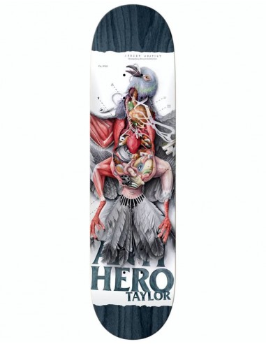 Anti Hero Taylor Street Anatomy Skateboard Deck - 8.5"